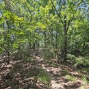 경기둘레길 여주32코스 이미지