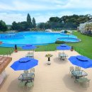 도그유토피아 더펜트 | 대형 안성카페 만나247 제주보다 더 제주, 원더풀도그베이 수영장 오픈