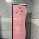 W9. 웨딩촬영 전 준비물리스트(4) 창원웨딩네일 무신사검정셔츠 유니클로속바지
