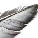 우화등선 이미지