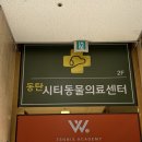 수원 동물병원 24시 운영 추천 후기