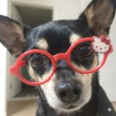 내리 이가네 | 놀다가보니_3월