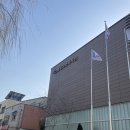 팔달노인복지관 | [새벽수영] 수원 팔달노인복지관 수영장