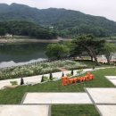 브루다 양주 이미지