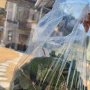 안만순농장 이미지