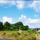 창룡문사거리(동공원) 이미지