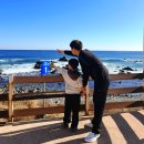 씨유 감포파도소리점 | 경주 감포 오션뷰 감성펜션 추천｜겨울바다 감성숙소 더 웨이브 101호 가족여행 후기