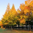 부평공원 이미지