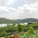 대심농장 이미지