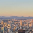 킹콩부동산중개 이미지