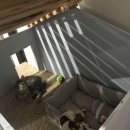 로렌이랑 도도네집 이미지