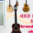 초등우쿨렐레 이미지