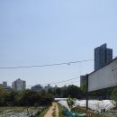 서울오륜초등학교 이미지