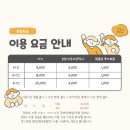 카페돌