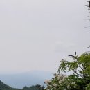 순서농장 이미지