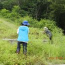 7월 9일 문산천 취소되어 고령산 조사 이미지