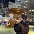 911마켓 | 뉴욕 12월 크리스마스 마켓 후기 Union Square Holiday Market - Bryant Park Winter Village