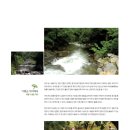 숲 펜션&캠핌장 이미지