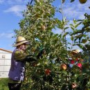 현서농협 APC 이미지