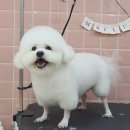 해맑은 주유소 이미지