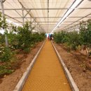 경이농장 이미지