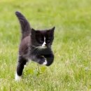 킹콩PC방 이미지