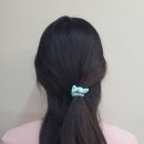 데일리 마카롱