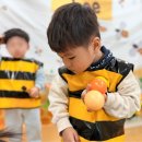 율하상상정원어린이집 | 불암산 나비정원 어린이집 소풍 후기 | 유아동반 방문 완벽 가이드