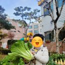 방화이화유치원 이미지