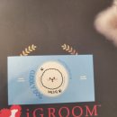 커들리독 이미지