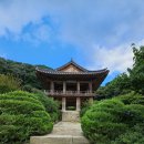 정선아리귀뚜라미농장 | [영주] 여행의 시작은 냉면이었지만: 소수서원, 부석사