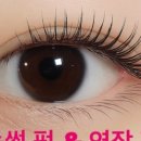 럽아이속눈썹
