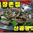 살아있네산곰장어 이미지