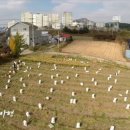 후니농장 이미지