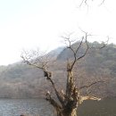 농현축산 이미지