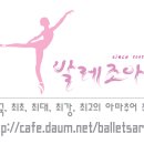 노블리즘