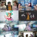 금송아지 이미지