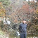 사인텍 이미지