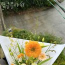 범클플라워 - 광산구 장신로266번길 5 | 범클플라워