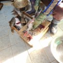 일조민박 이미지