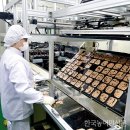 (주)한빛기획 티스토리