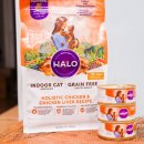 증도가축인공수정소 | 고양이사료추천! 헤일로 사료와 고양이캔을 함께 먹어 건강한 2021년을 보내요!