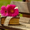 대구장기초등학교 이미지