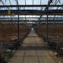 익산 농장 이미지