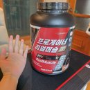 레드머슬 | 유당·당류 ZERO인데 맛있다고? 프로게이너 리얼머슬 단백질쉐이크 솔직 후기 💪🍫