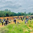 평화과일 이미지