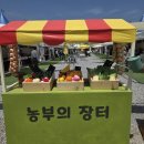 춘천시농업기술센터 | 춘천 농부의 장터 - 2026년 5월 23,24 참여 후기