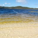 아일랜드 이미지