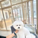 에브리 뽀송 이미지