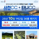 다솔 스테이 이미지